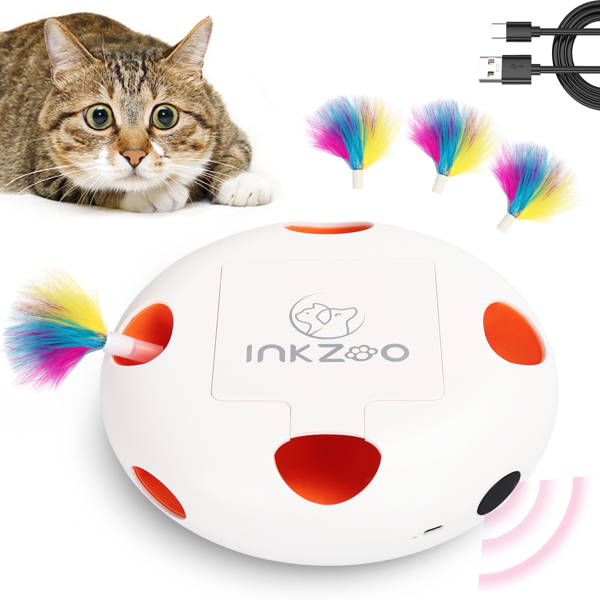 Interactive Cat Toys