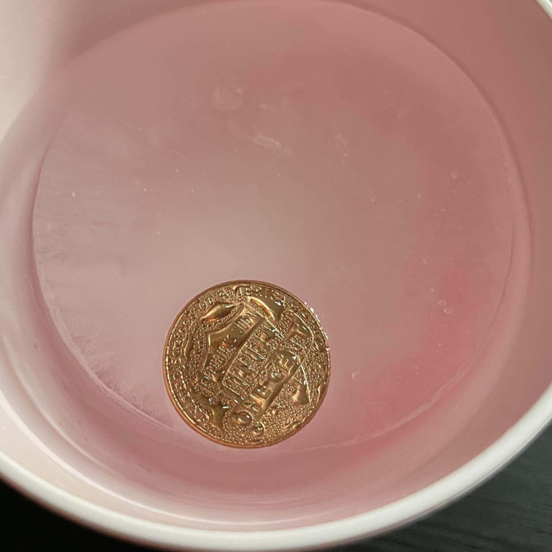 frozen coin magic trick revealed